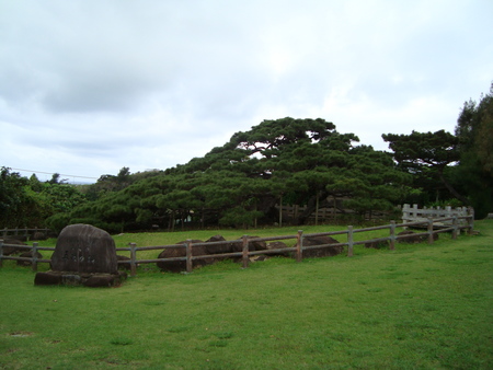 久米島レポート
