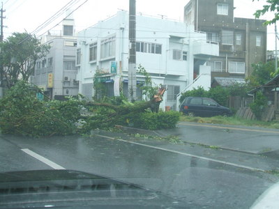臨時休業です