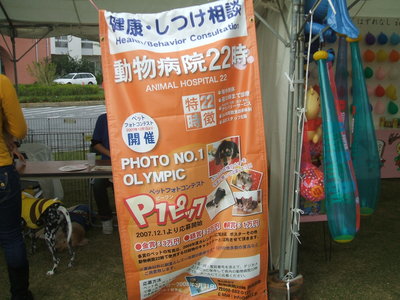 Ｄ１ピック