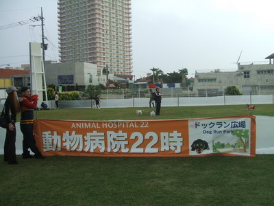 Ｄ１ピック
