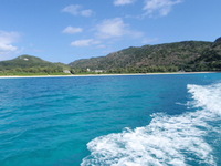 半日海遊び 2009/02/03 17:26:04