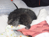 極端な気温差 2008/12/05 18:13:04