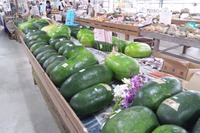 実りの秋 2011/10/21 12:56:11