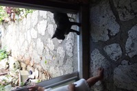 遊ぼうﾆｬ～ 2011/10/06 15:50:44