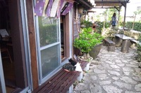 肌寒いよ 2012/10/18 17:03:33