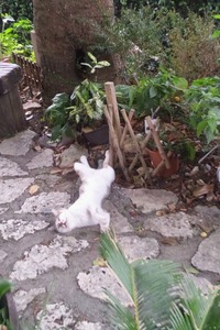リラックス 2011/10/07 13:53:35