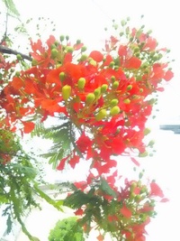 ヨガですっきり♪ 2014/06/10 09:46:23