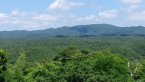 年末年始のお休みについて