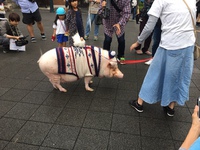 一応覚書として 2019/12/08 13:51:38