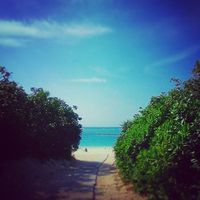 梅雨・・・ 2015/05/20 13:31:46