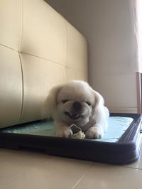 ハンター・・・ 2015/08/21 15:58:02