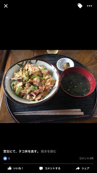 たこ丼 2016/05/26 22:20:34