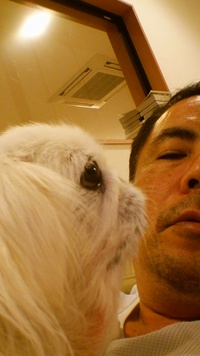 あば、サイガ人です!!

… 2015/12/05 15:38:53