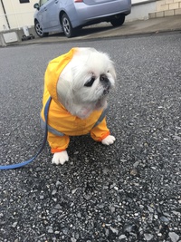 散歩… 2016/01/30 17:58:21