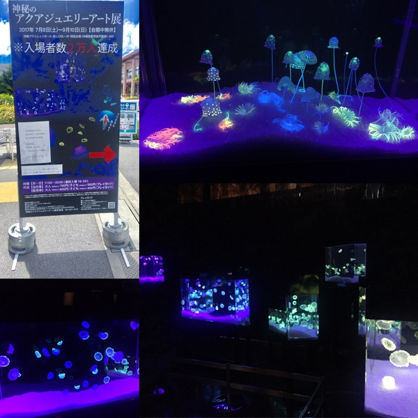 アクアジュエリーアート展 in 沖縄アウトレットモールあしびなー