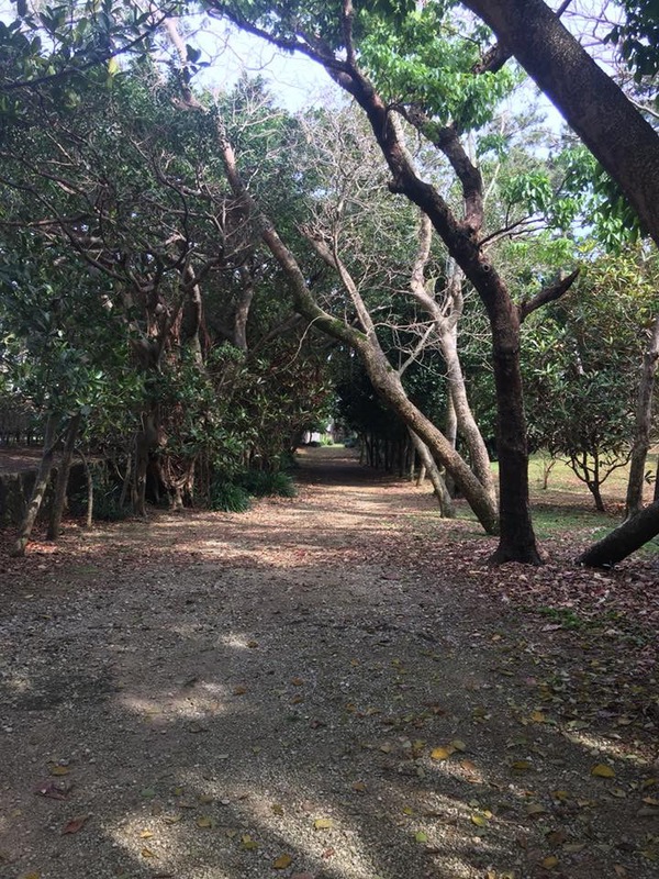 世界遺産巡り！今回は『識名園』
