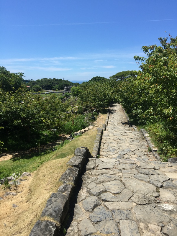 セミナーの感想と今帰仁城跡