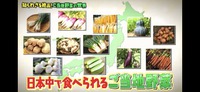 マツコの知らない世界　愛の野菜伝道師　小堀さん 2021/05/07 10:00:00