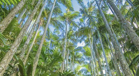 東南植物楽園　福利厚生リロクラブ半額券を使うの巻