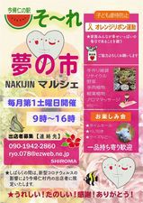 ダイソーさんのお手軽昆虫食　コオロギせんべい