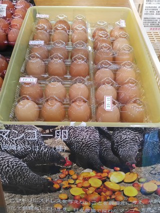 ダイソーさんのお手軽昆虫食　コオロギせんべい