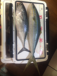慶良間→那覇一文字 2013/11/01 21:48:33