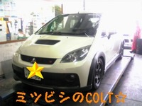 今日はコルトが入ってきました