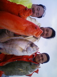 時化極み… 2009/01/14 10:17:01