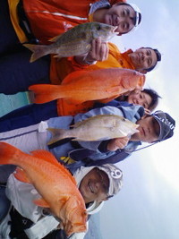 鬼荒 2008/12/14 14:27:30