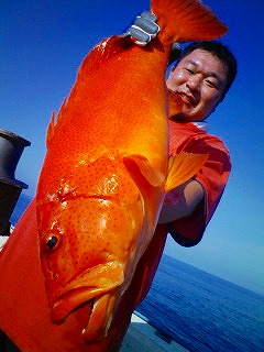 海流離　-西方-