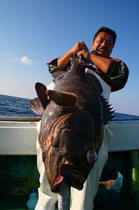 立釣　2009〆 2009/12/30 15:42:25