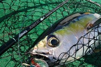体験『マグロ釣り』☆ 2010/02/23 21:51:41