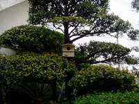 鳥小屋 2008/03/01 10:26:56