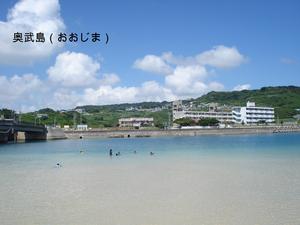 県知事選挙