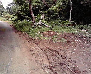 道路