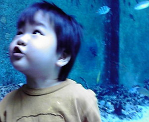水族館