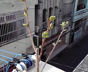 このまま
