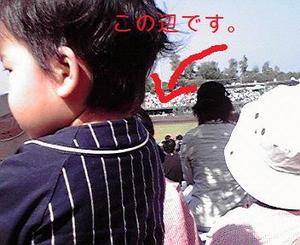 宜野座球場