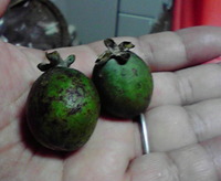 美味！ 2010/10/27 16:04:16