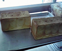 ボジョレー 2010/11/18 15:43:15