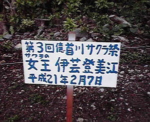 桜