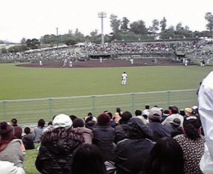 プロ野球キャンプ「阪神編」