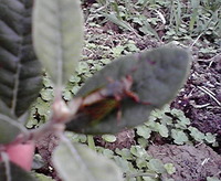 え！！！？？？ 2011/05/27 15:05:00