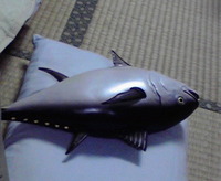 とったど～ 2011/09/08 15:05:00