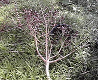 今年の10第ニュース 2012/12/31 11:33:01