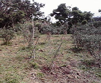今年こそ 2012/02/29 16:31:19