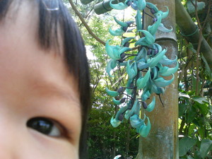 東南植物楽園