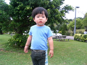 公園の安全