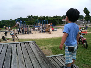 公園の安全