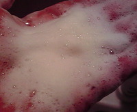 手作り石鹸使ってみた。 2011/10/17 14:57:12